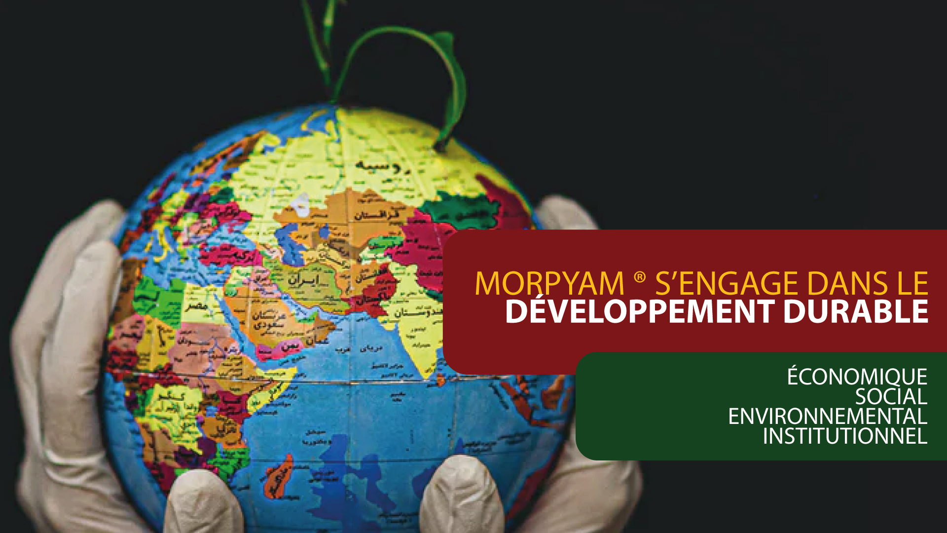 You are currently viewing Morpyam® s’engage dans le développement durable